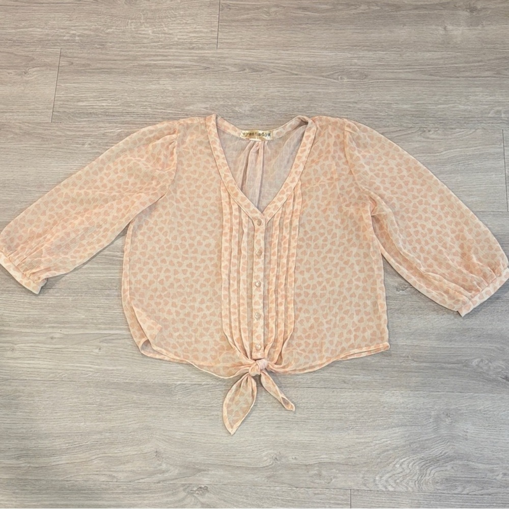 Eyeshadow Peach Sheer Blouse with Tie Front
